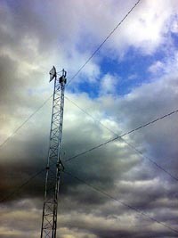 11102007262