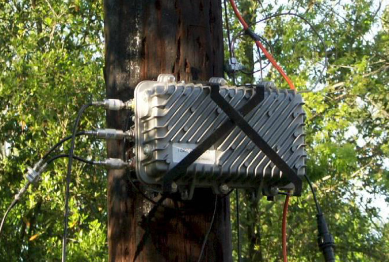 insitu